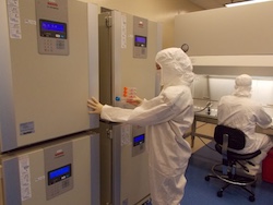 cGMP Lab